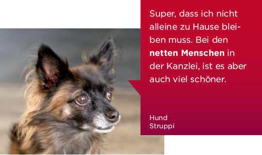 dhbp-hs-aussage